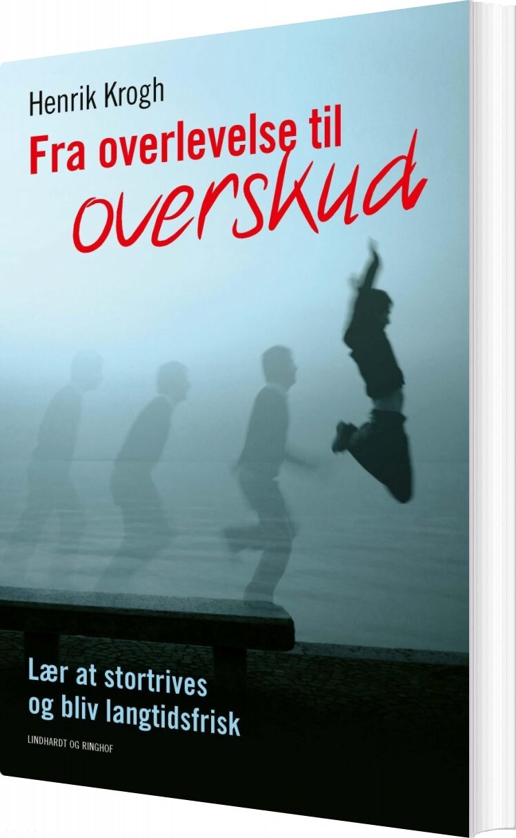 Fra Overlevelse Til Overskud - Henrik Krogh - Bog - Lindhardt Og Ringhof