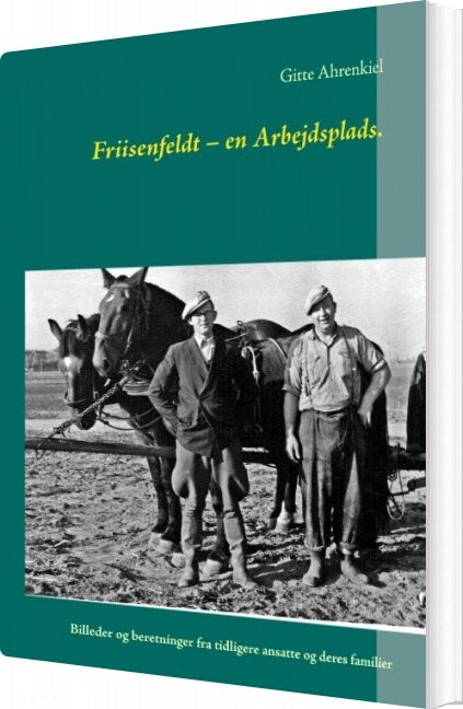 Friisenfeldt - En Arbejdsplads - Gitte Ahrenkiel - Bog - Books On Demand