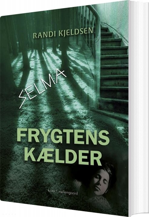 Frygtens Kælder - Randi Kjeldsen - Bog - Mellemgaard