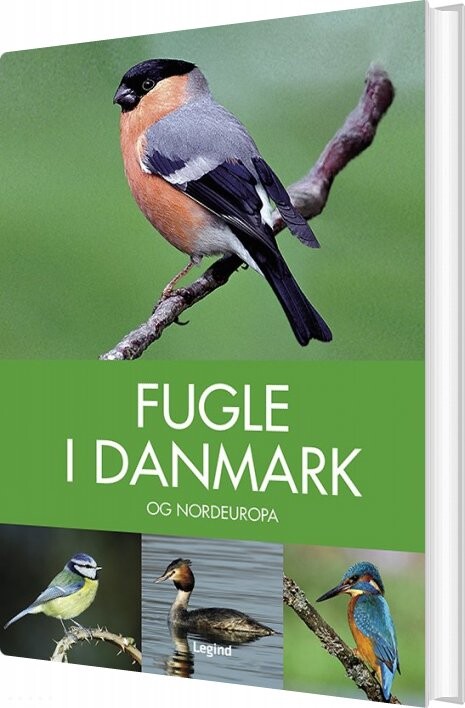 Fugle I Danmark - Peter Goodfellow - Bog - Legind