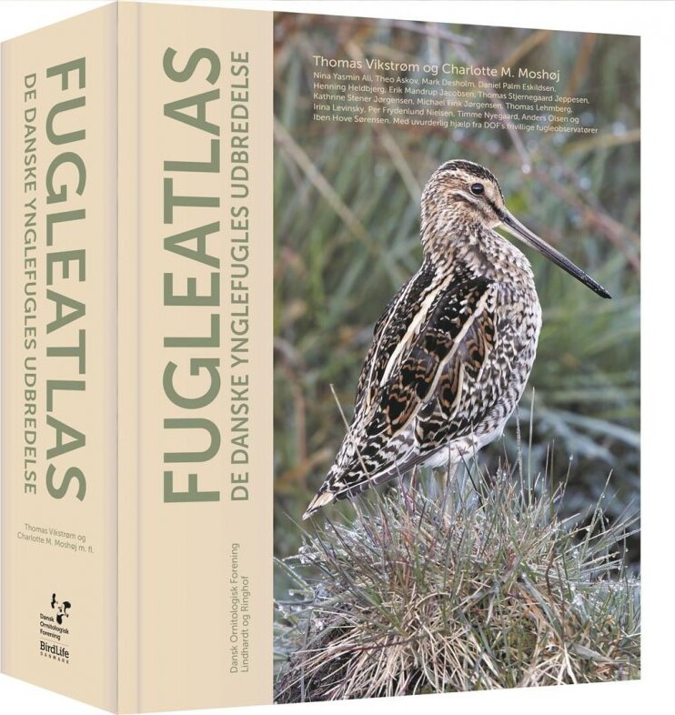 Fugleatlas - Thomas Vikstrøm - Bog - Lindhardt Og Ringhof