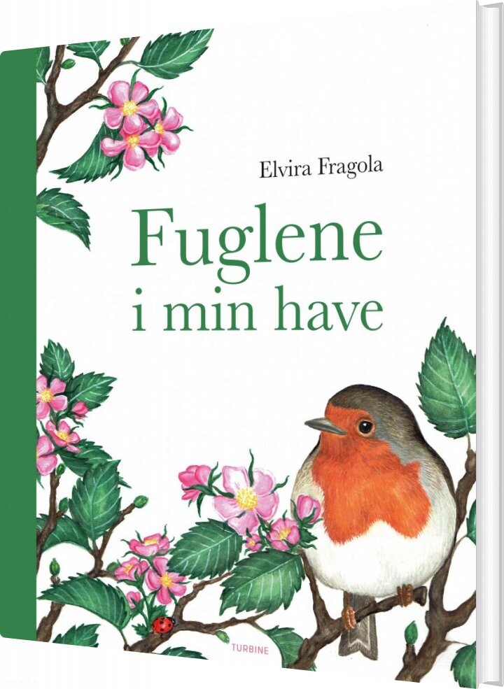 Fuglene I Min Have - Elvira Fragola - Bog - Turbine