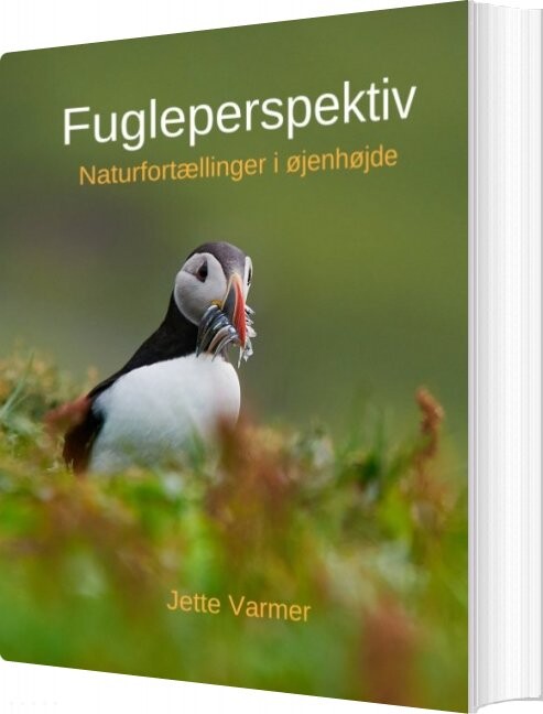 Fugleperspektiv - Jette Varmer - Bog - Books On Demand