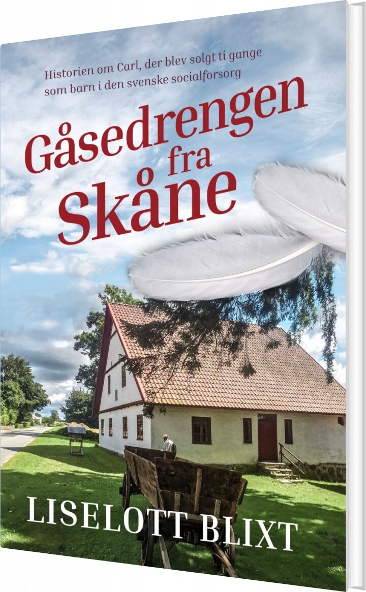 Gåsedrengen Fra Skåne - Liselott Blixt - Bog - Forlaget Forfatterskabet.dk