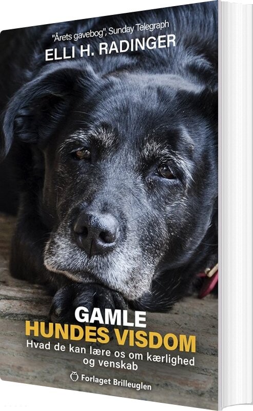 Gamle Hundes Visdom - Elli H. Radinger - Bog - Forlaget Brilleuglen