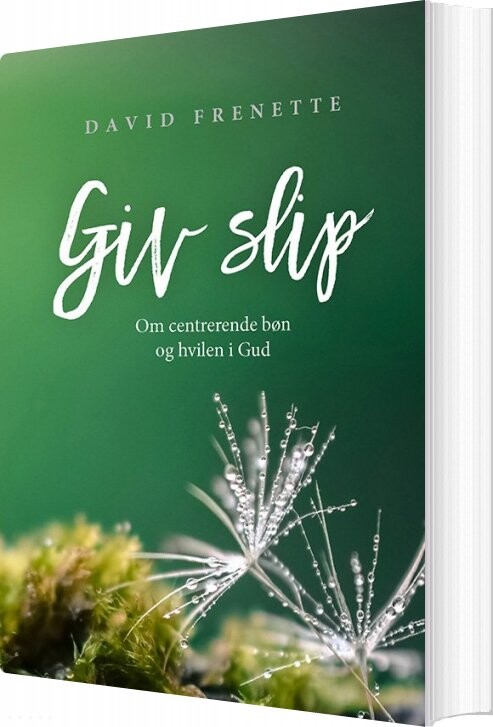 Giv Slip - David Frenette - Bog - Boedal