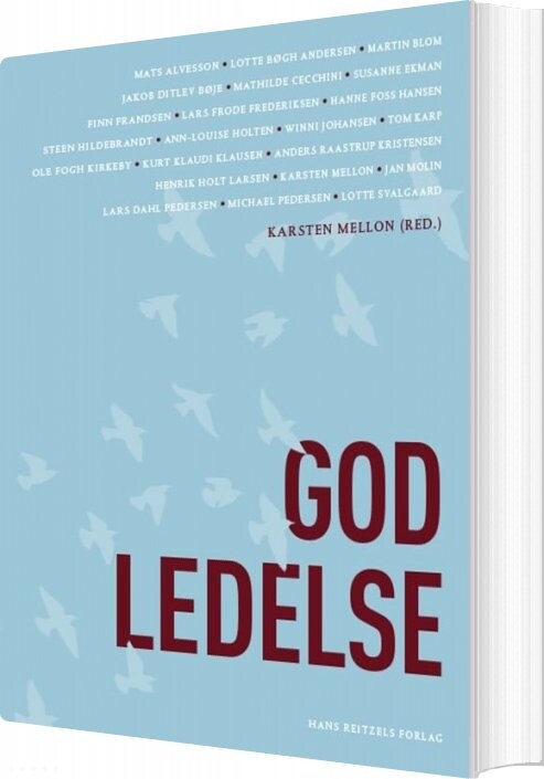 God Ledelse - Steen Hildebrandt - Bog - Hans Reitzels Forlag