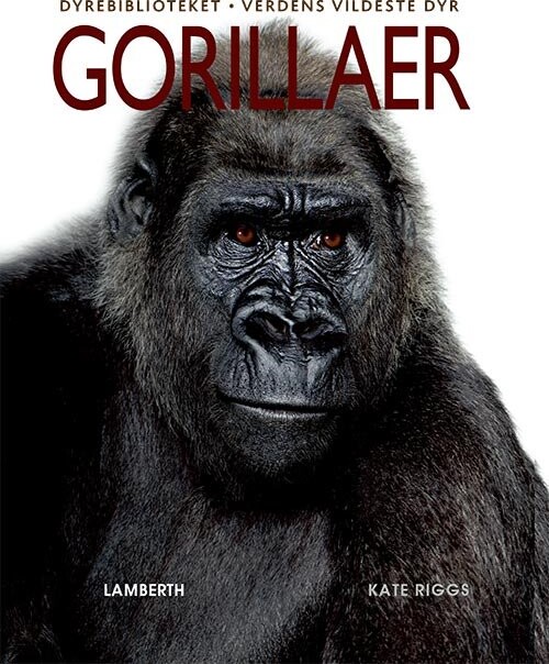 Gorillaer - Kate Riggs - Bog - Lamberth
