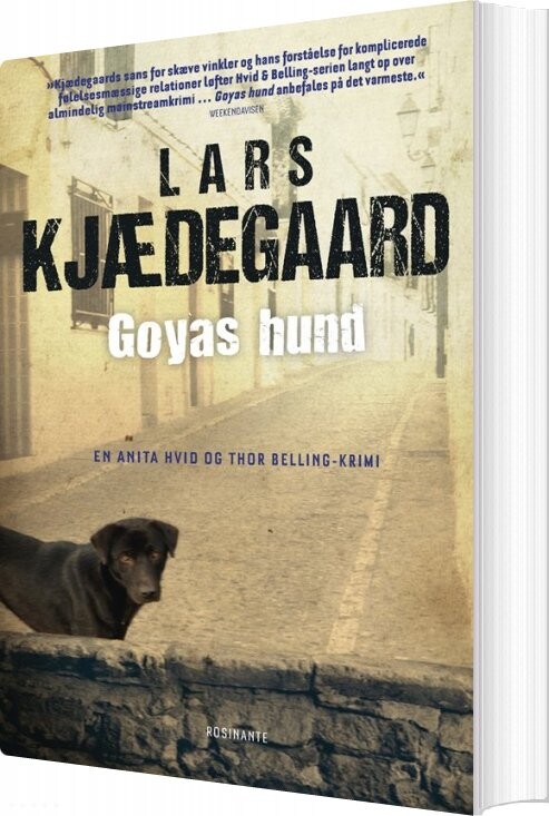Goyas Hund - Lars Kjædegaard - Bog - Rosinante