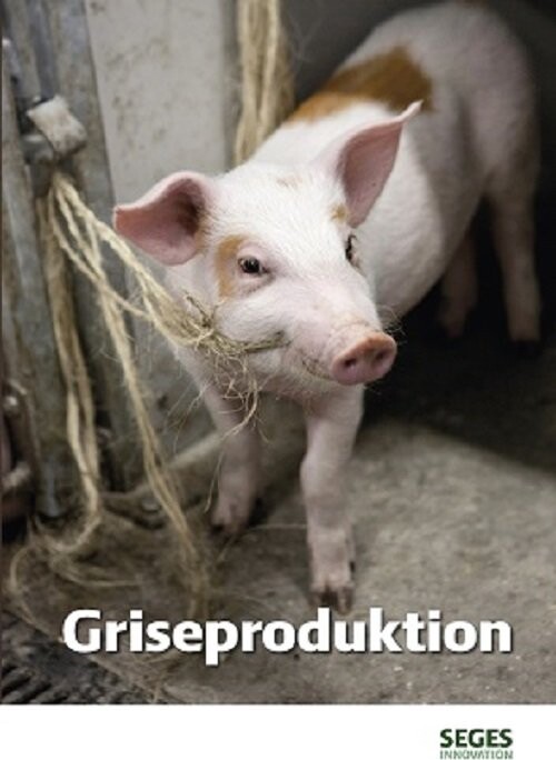 Griseproduktion - Maria Eskildsen - Bog - Seges Forlag