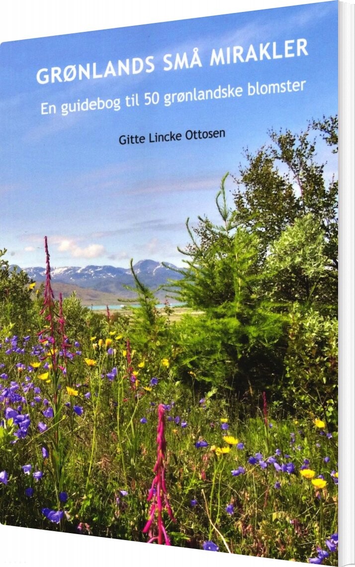 Grønlands Små Mirakler - Gitte Lincke Ottosen - Bog - Arctic Sun