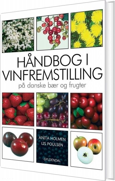 Håndbog I Vinfremstilling På Danske Bær Og Frugter - Anita Holmen - Bog - Gyldendal