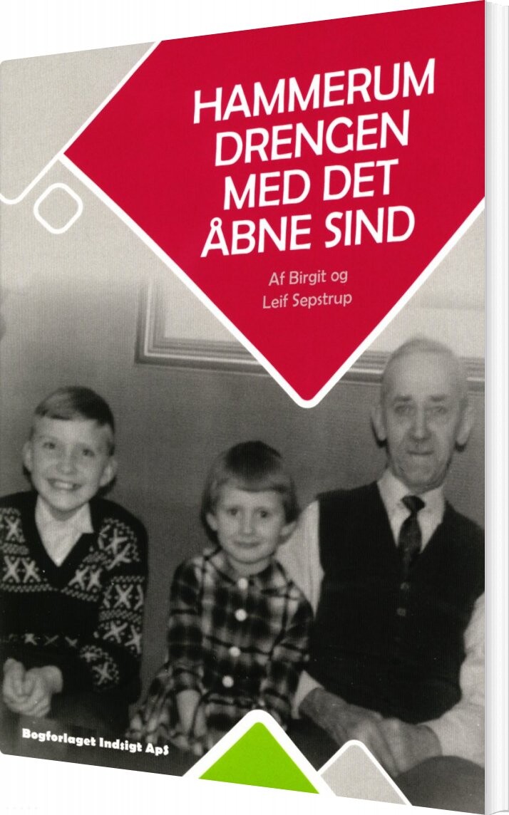 Hammerum Drengen Med Det åbne Sind - Leif Sepstrup - Bog - Indsigt Forlag