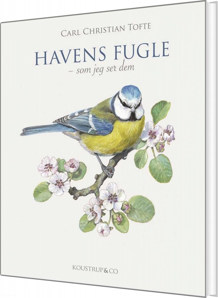 Havens Fugle - Carl Christian Tofte - Bog - Koustrup & Co
