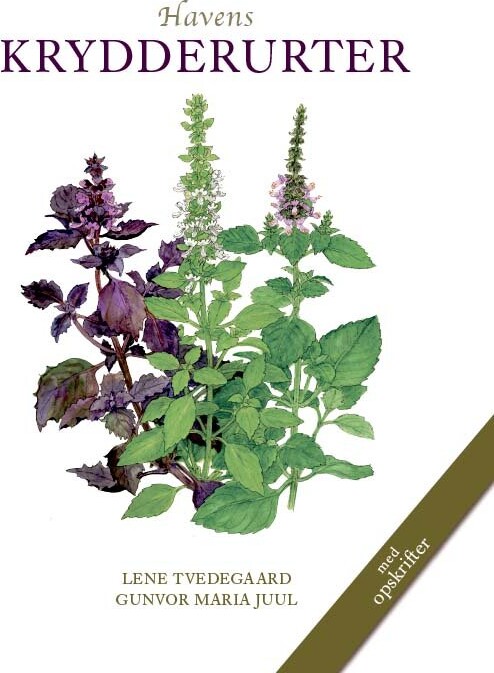 Havens Krydderurter - Lene Tvedegaard - Bog - Koustrup & Co