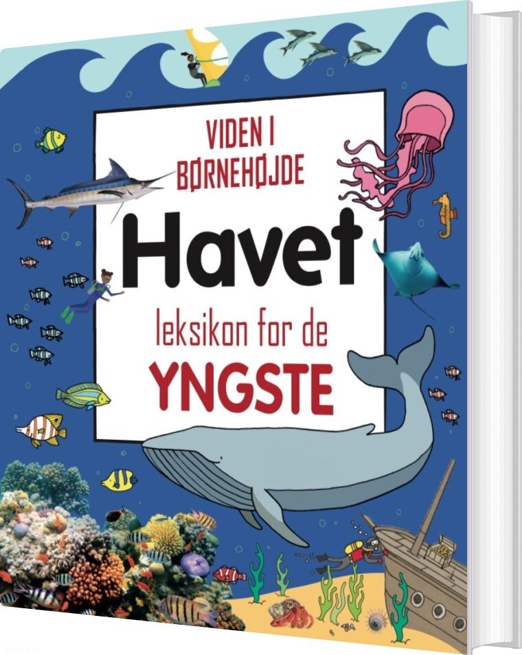 Havet - Leksikon For De Yngste - Bog - Globe