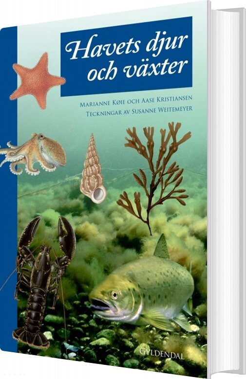 Havets Dyr Og Planter - Aase Kristiansen - Bog - Gyldendal