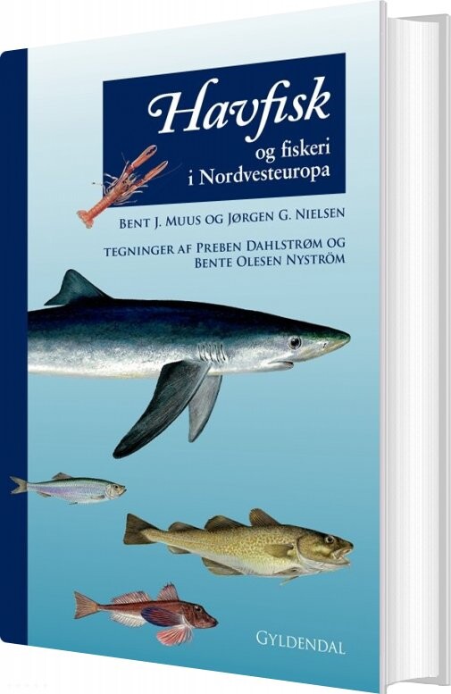 Havfisk Og Fiskeri - Jørgen G. Nielsen - Bog - Gyldendal