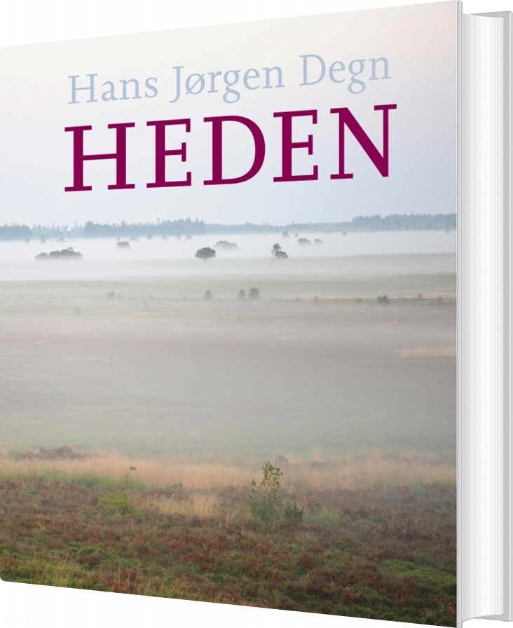 Heden - Hans Jørgen Degn - Bog - Aarhus Universitetsforlag