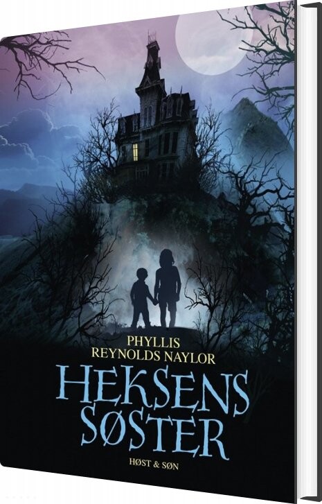 Heksens Søster - Phyllis Reynolds Naylor - Bog - Høst & Søn