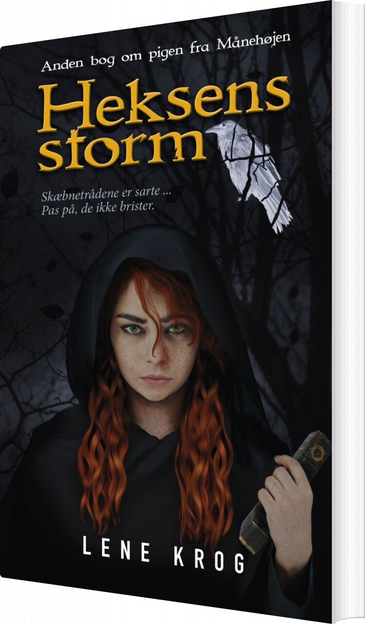 Heksens Storm - Lene Krog - Bog - Ulven Og Uglen