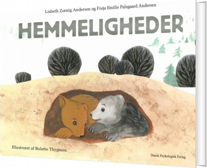 Hemmeligheder - Lisbeth Zornig Andersen - Bog - Dansk Psykologisk Forlag