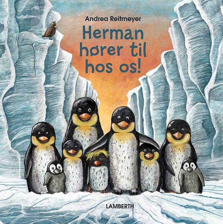 Herman Hører Til Hos Os - Andrea Reitmeyer - Bog - Lamberth