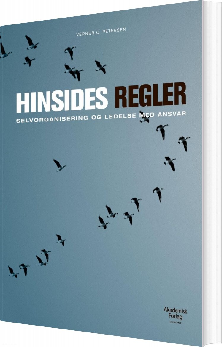 Hinsides Regler - Verner C. Petersen - Bog - Akademisk Forlag