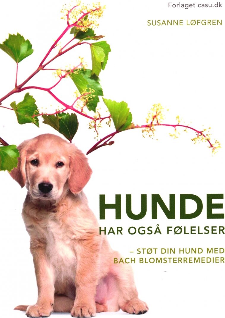 Hunde Har Også Følelser - Susanne Løfgren - Bog - Casu.dk