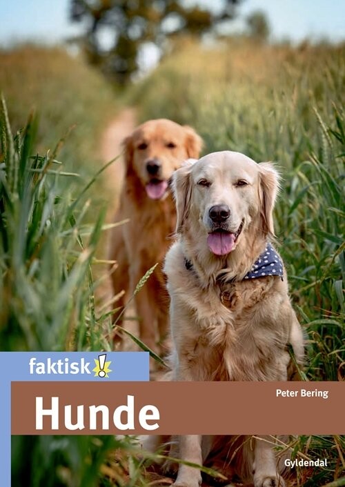 Hunde - Peter Bering - Bog - Gyldendal