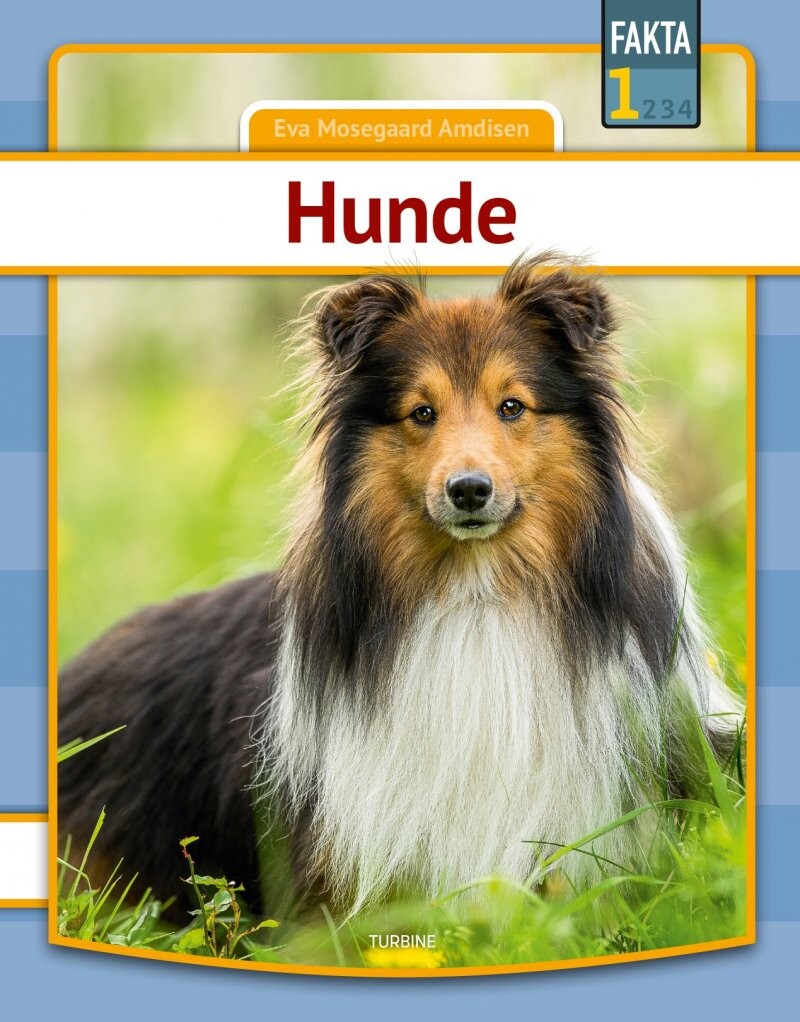 Hunde - Eva Mosegaard Amdisen - Bog - Turbine