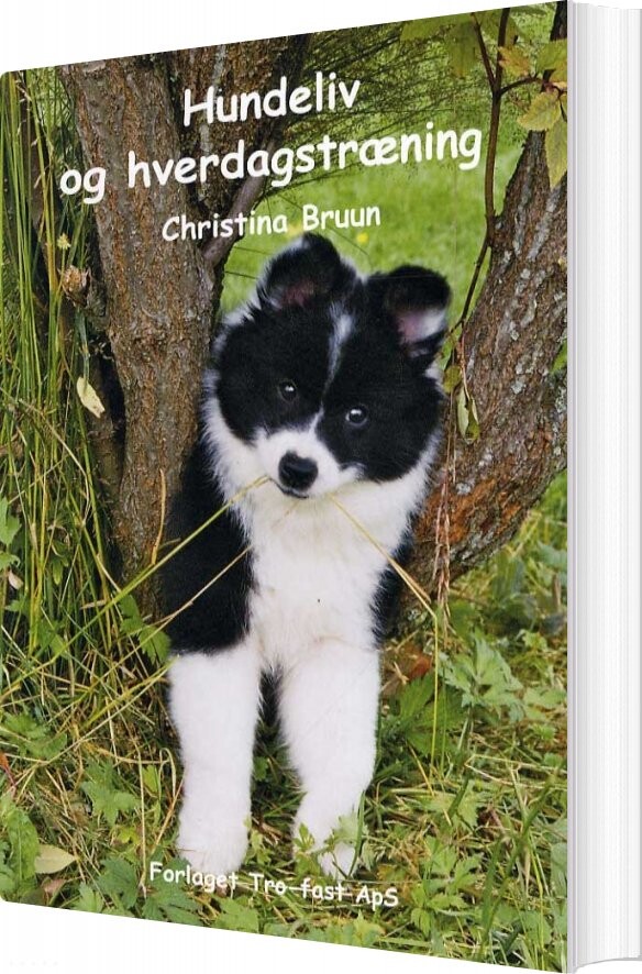 Hundeliv Og Hverdagstræning - Christina Bruun - Bog - Forlaget Tro-fast