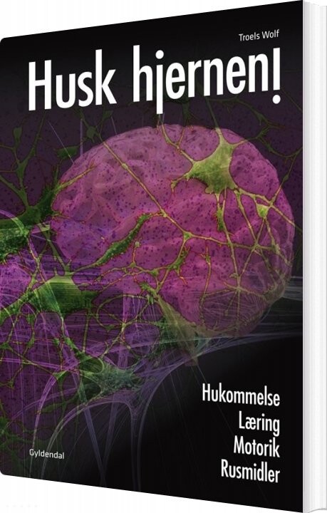 Husk Hjernen! - Troels Wolf - Bog - Systime