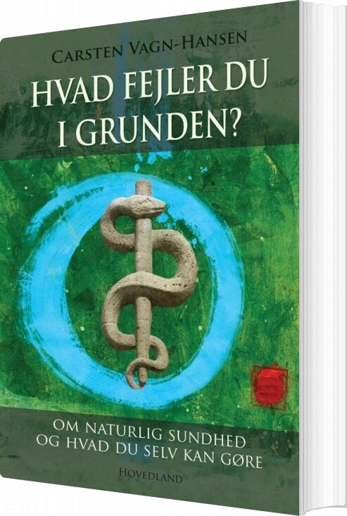 Hvad Fejler Du I Grunden? - Carsten Vagn-hansen - Bog - Hovedland