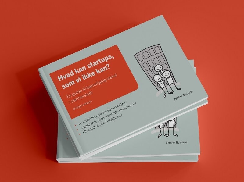 Hvad Kan Startups, Som Vi Ikke Kan? - Freja Ludvigsen - Bog - Rethink Business