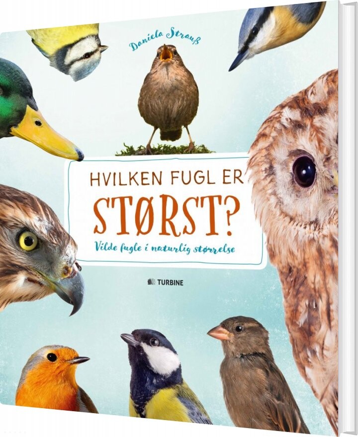 Hvilken Fugl Er Størst? - Daniella Strauss - Bog - Turbine