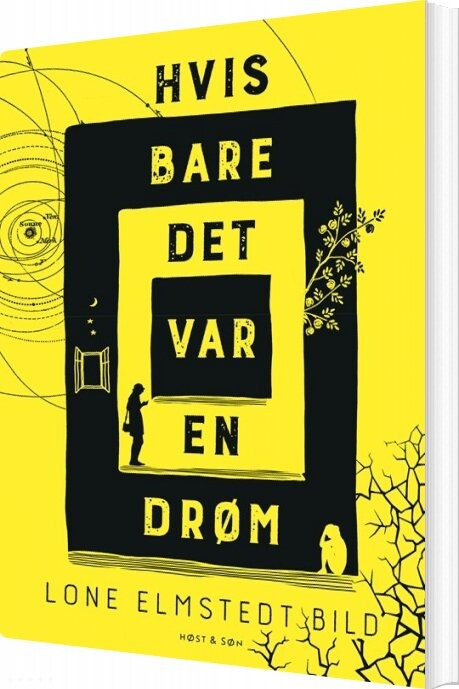 Hvis Bare Det Var En Drøm - Lone Elmstedt Bild - Bog - Høst & Søn