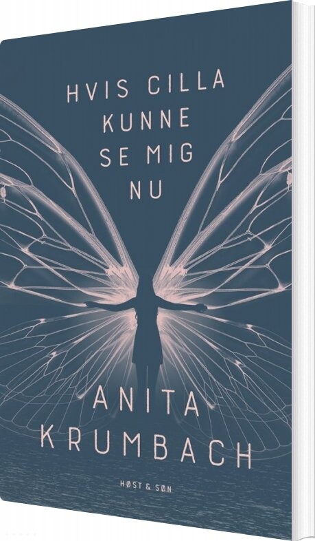 Hvis Cilla Kunne Se Mig Nu - Anita Krumbach - Bog - Høst & Søn