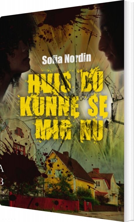 Hvis Du Kunne Se Mig Nu - Sofia Nordin - Bog - Abc Forlag