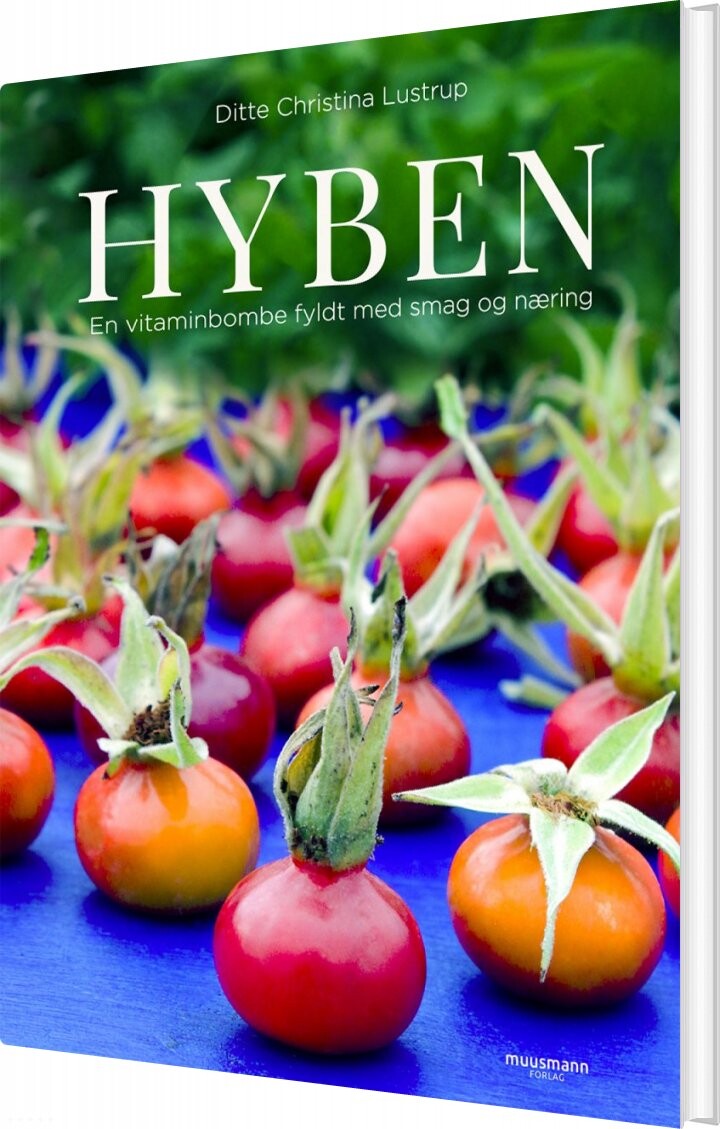 Hyben - Ditte Christina Lustrup - Bog - Muusmann Forlag