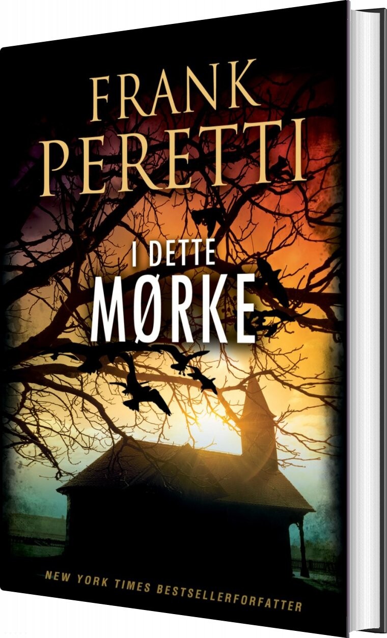 I Dette Mørke - Frank Peretti - Bog - Scandinavia