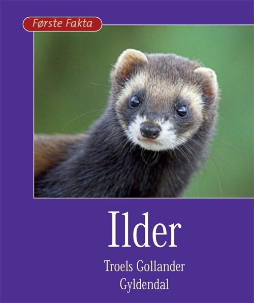 Ilder - Troels Gollander - Bog - Gyldendal