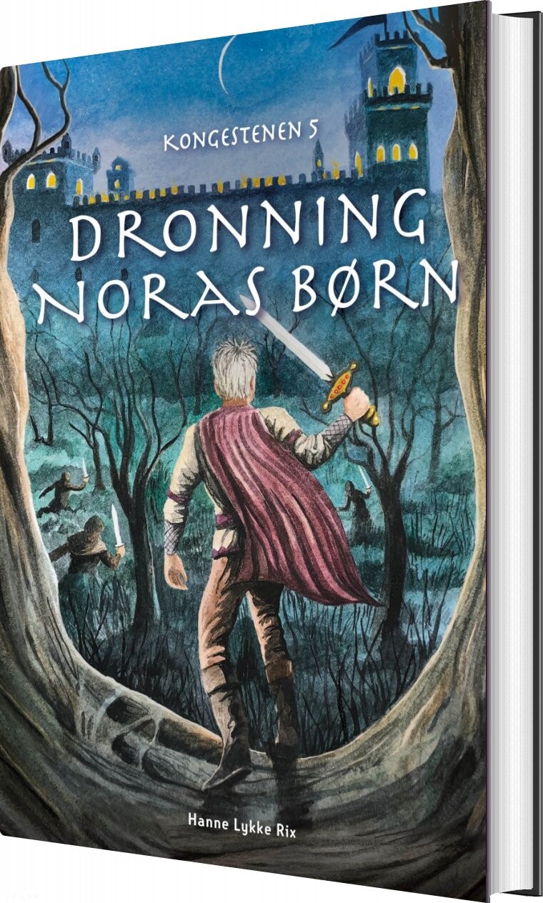 Dronning Noras Børn - Hanne Lykke Rix - Bog - Dreamlitt