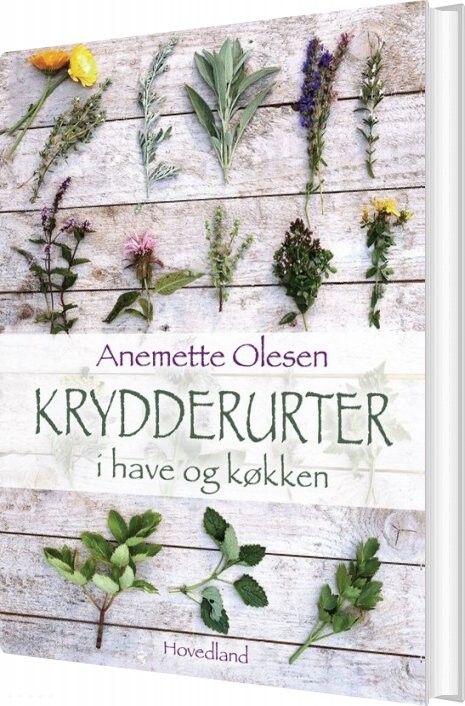 Krydderurter I Have Og Køkken - Anemette Olesen - Bog - Hovedland