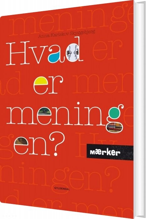 Mærker - Hvad Er Meningen? - Anna Karlskov Skyggebjerg - Bog - Gyldendal