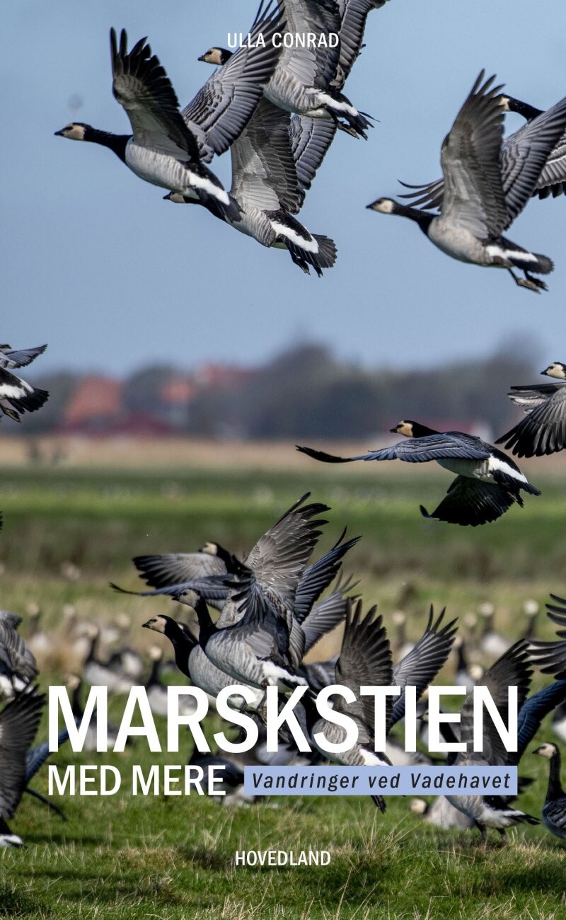 Marskstien - Ulla Conrad - Bog - Hovedland