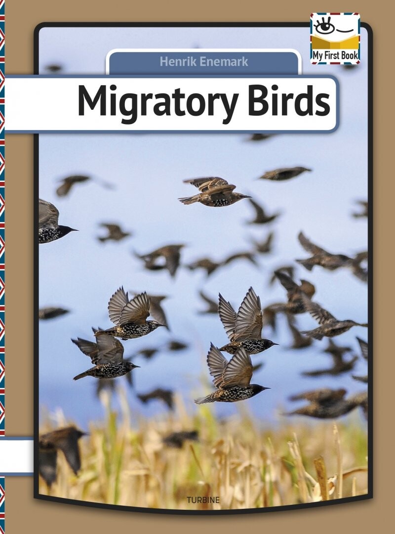 Migratory Birds - Henrik Enemark - English Book - Turbine