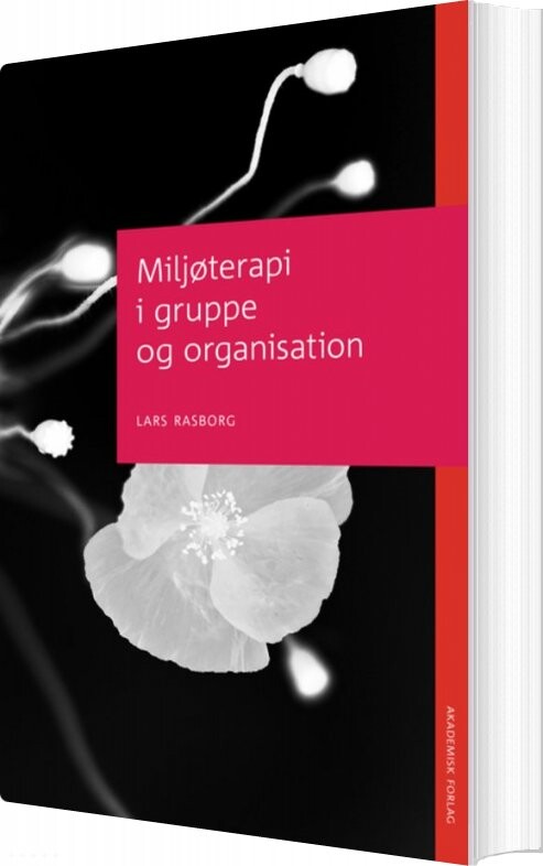 Miljøterapi I Gruppe Og Organisation - Lars Rasborg - Bog - Akademisk Forlag