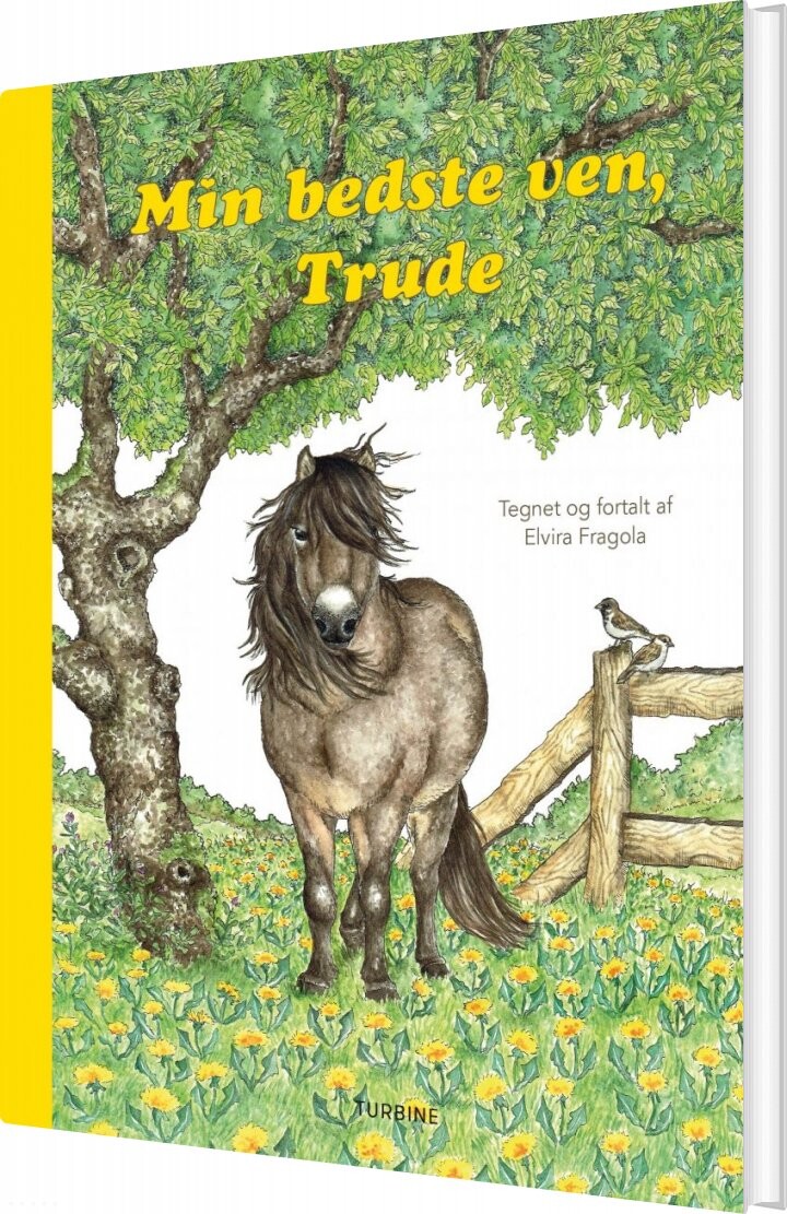 Min Bedste Ven, Trude - Elvira Fragola - Bog - Turbine