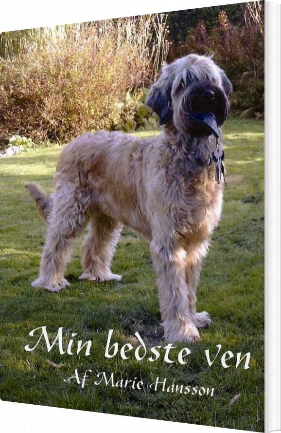 Min Bedste Ven - Maria Hansson - Bog - Forlaget Tro-fast